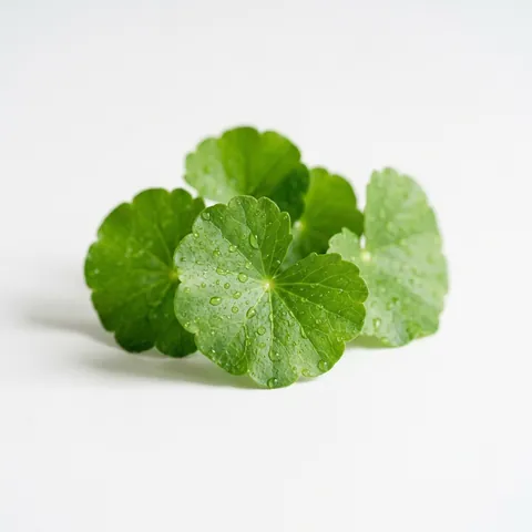 Brahmi